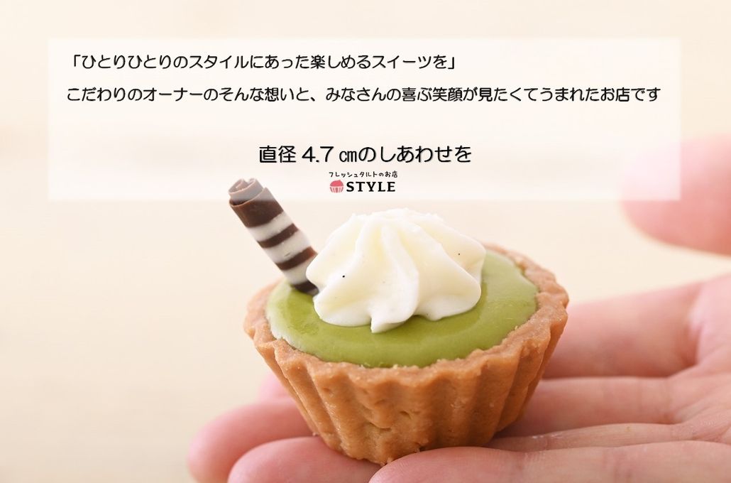 【祝！誕生日】ねこみにタルトセット 9個入 夏冬フレーバー 10
