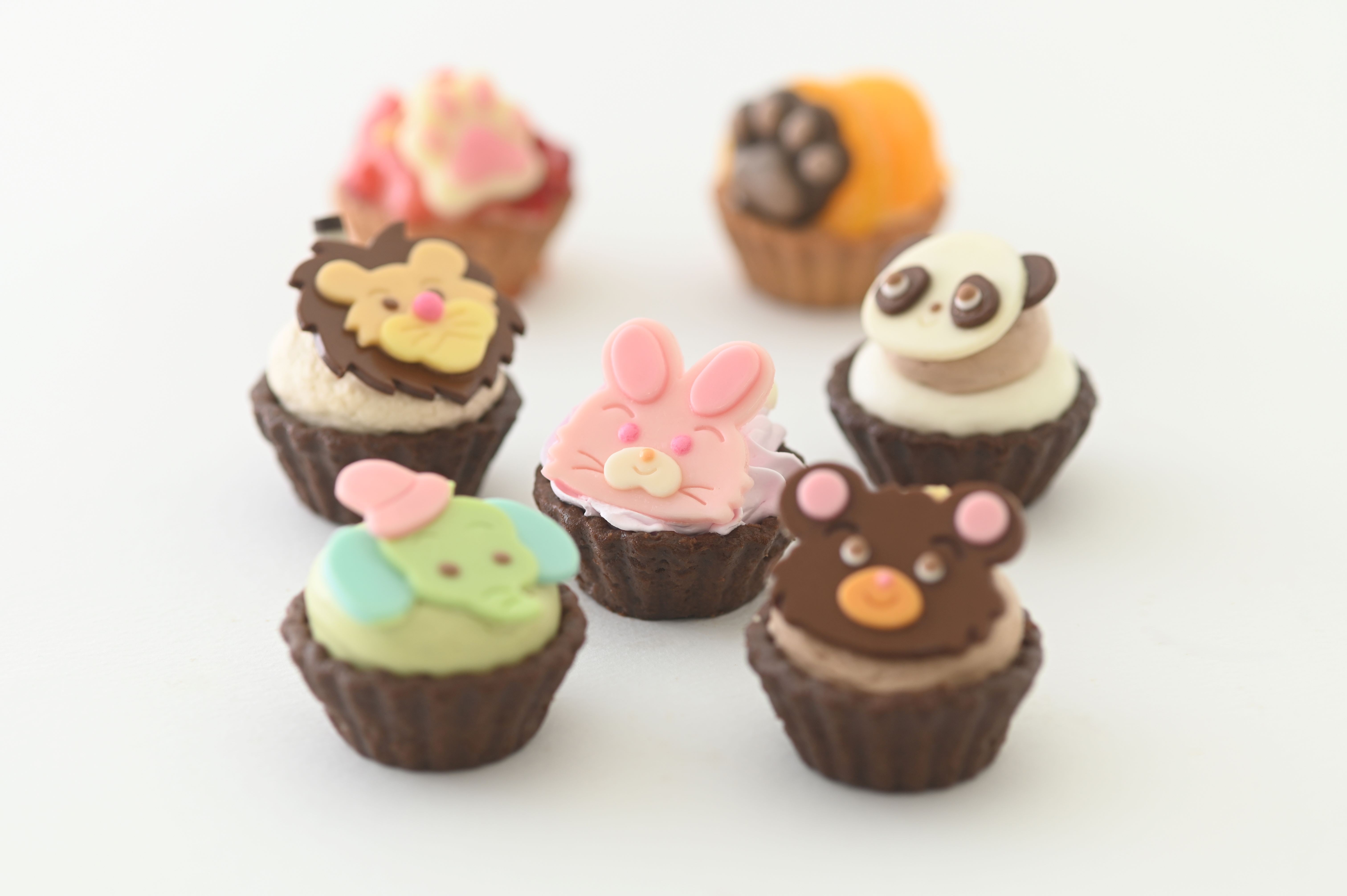 どうぶつみにたるとセット 9個入（フレッシュタルトのお店STYLE