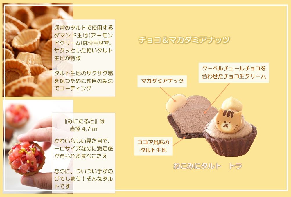【祝！誕生日】『ねこみにタルト』もお祝い♪鬼盛りフルーツタルト 4号  7