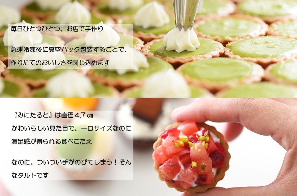 【祝！誕生日】ねこみにタルトセット 9個入 夏冬フレーバー 9