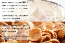 【祝！誕生日】ねこみにタルトセット 9個入 夏冬フレーバー 8