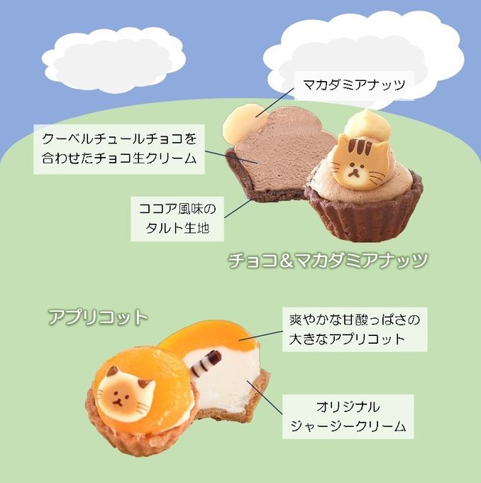【夏バージョン】ねこみにタルトセット 9個入 こどもの日2026 3