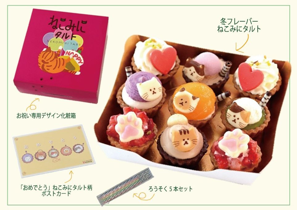 【祝！誕生日】ねこみにタルトセット 9個入 夏冬フレーバー 4