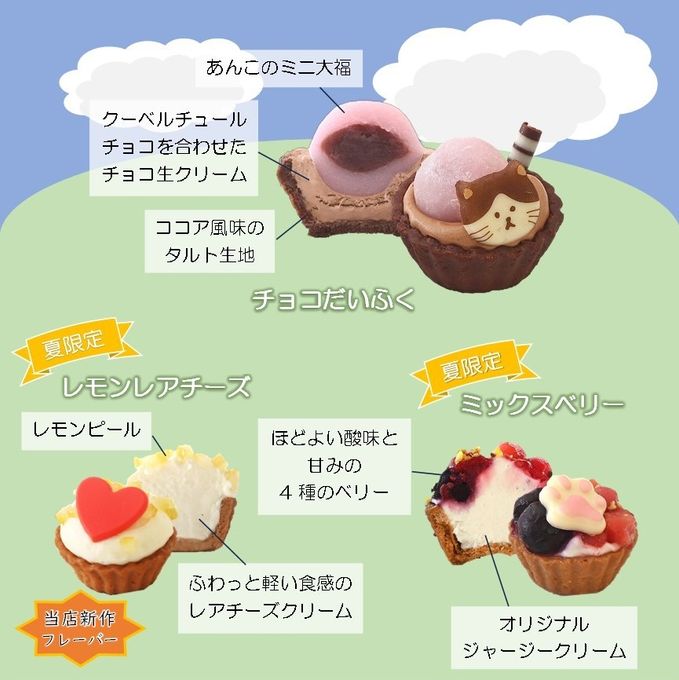 【祝！誕生日】ねこみにタルトセット 9個入 夏フレーバー 5