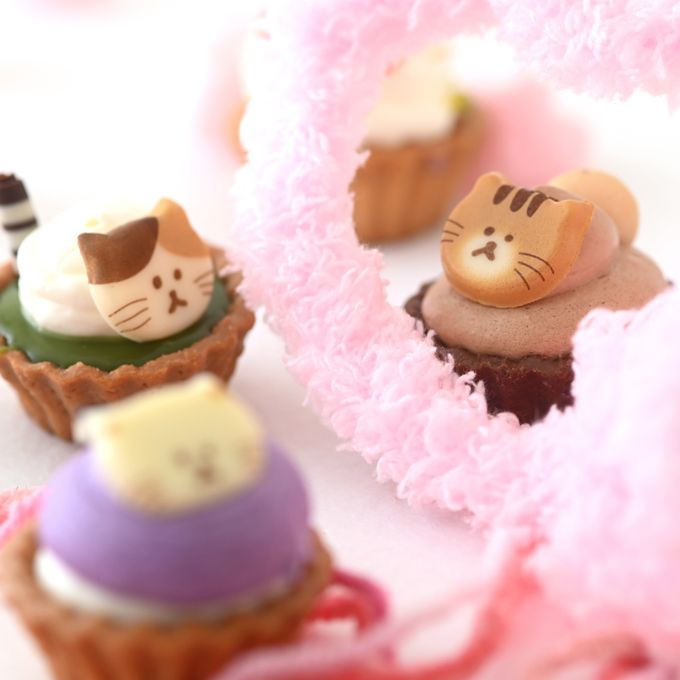 【バレンタイン限定】ねこみにタルトセット 9個入 バレンタイン2026 8