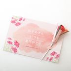 【母の日限定】ねこみにタルトセット 9個入  7