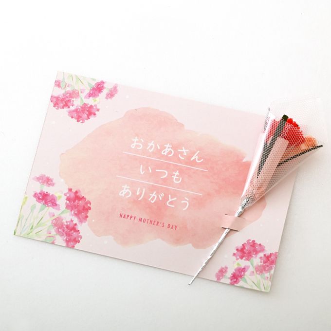 【母の日限定】ねこみにタルトセット 9個入  7