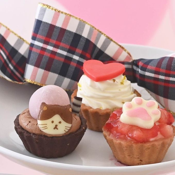 【祝！誕生日】ねこみにタルトセット 9個入 冬バージョン 5