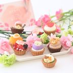 【母の日限定】ねこみにタルトセット 9個入  2