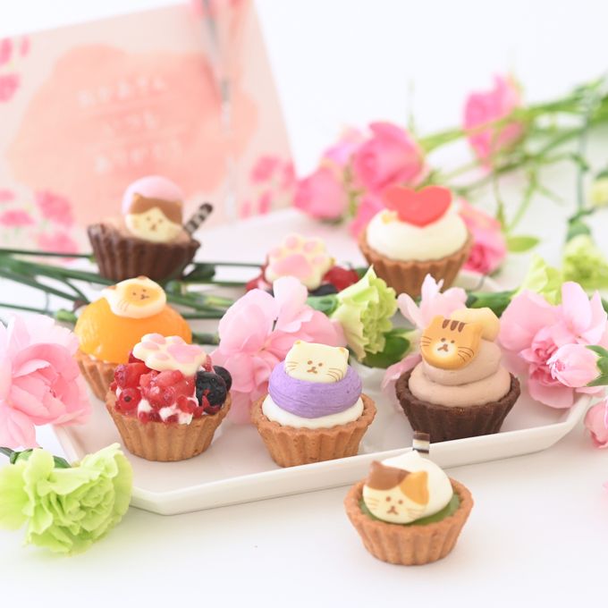 【母の日限定】ねこみにタルトセット 9個入  2