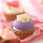 【バレンタイン限定】ねこみにタルトセット 9個入 バレンタイン2026 6
