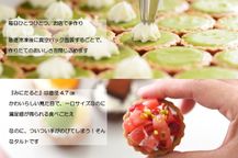 【ホワイトデー限定】ねこみにタルトセット 9個入  9