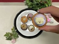 ねこみにサイズ 6