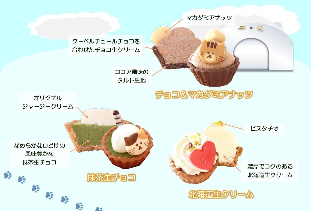 【冬バージョン】ねこみにタルトセット 9個入 ホワイトデー2026 4