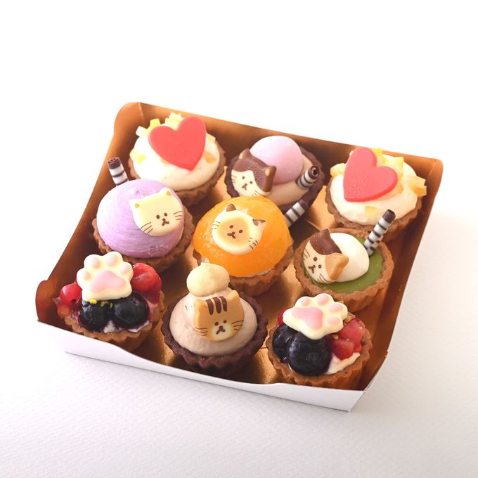 【母の日限定】ねこみにタルトセット 9個入  3