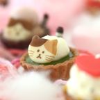 【バレンタイン限定】ねこみにタルトセット 9個入 バレンタイン2026 7