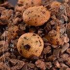 【お得用】【厳選国産素材使用】【添加物不使用】銀河クッキー ビターチョコクッキー袋入り 2