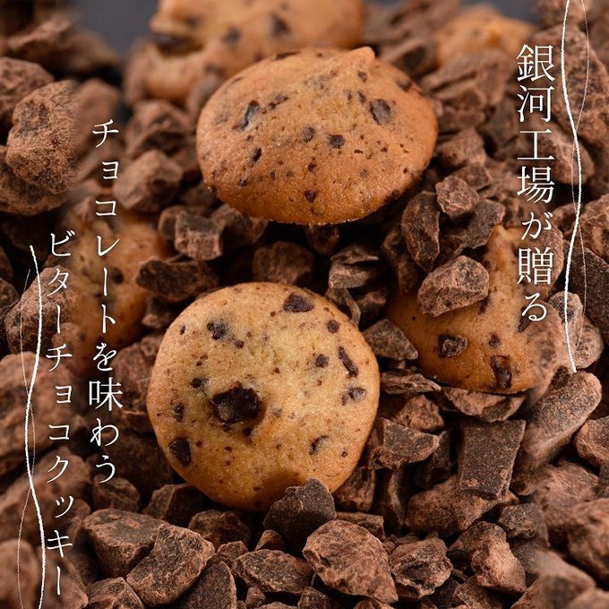 【お得用】【厳選国産素材使用】【添加物不使用】銀河クッキー ビターチョコクッキー袋入り 2