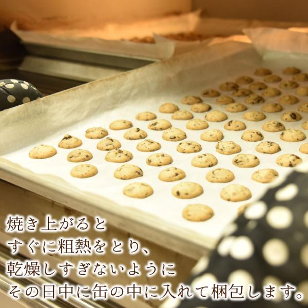 【厳選国産素材使用】【添加物不使用】銀河クッキー ビターチョコクッキー サーカス缶 8