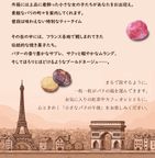 【ギフト】【厳選国産素材使用】【添加物不使用】銀河クッキー 詰め合わせ ガールズ缶  5