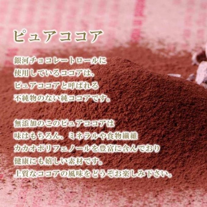 銀河チョコレートロール 銀河工場 自家製チョコレート 国産小麦 純生クリーム100%使用 ベーキングパウダー不使用 16cm  10