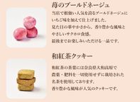 【ギフト】【厳選国産素材使用】【添加物不使用】銀河クッキー 詰め合わせ ガールズ缶  8