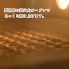 【厳選国産素材使用】【添加物不使用】銀河クッキー ビターチョコクッキー サーカス缶  7