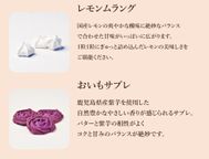 【ギフト】【厳選国産素材使用】【添加物不使用】銀河クッキー 詰め合わせ ガールズ缶  9