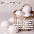 【お得用】【厳選国産素材使用】【添加物不使用】銀河クッキー ビターチョコクッキー袋入り 5
