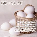 銀河クッキー袋入り5種セット 9