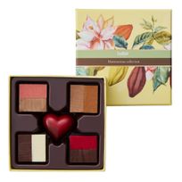 【DelReY】2層生チョコ ハーモニアス 9個入  