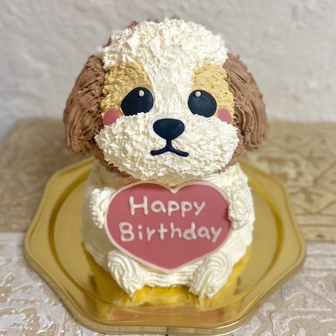 シーズーの立体ケーキ 動物ケーキ 誕生日 ドンムルケーキ センイルケーキ 5号 1