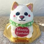 白柴犬の立体ケーキ しろしば しばいぬ 動物ケーキ センイルケーキ  5号 1