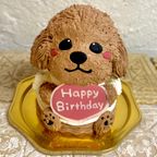 トイプードルの立体ケーキ 犬 ガナッシュクリーム 誕生日 センイルケーキ 動物ケーキ ドンムルケーキ   1
