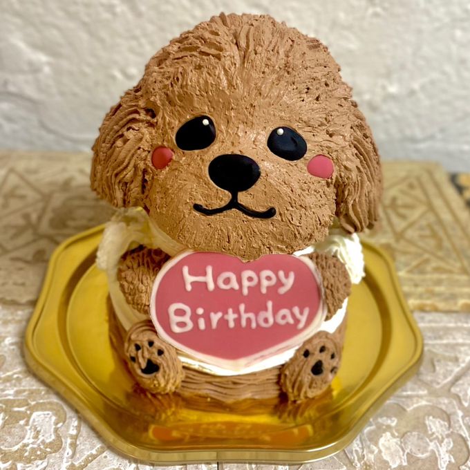 トイプードルの立体ケーキ 犬 ガナッシュクリーム 誕生日 センイルケーキ 動物ケーキ ドンムルケーキ   1