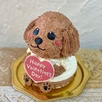 バレンタイン♡トイプードルの立体ケーキ 犬 ガナッシュクリーム 誕生日 センイルケーキ 動物ケーキ ドンムルケーキ 2