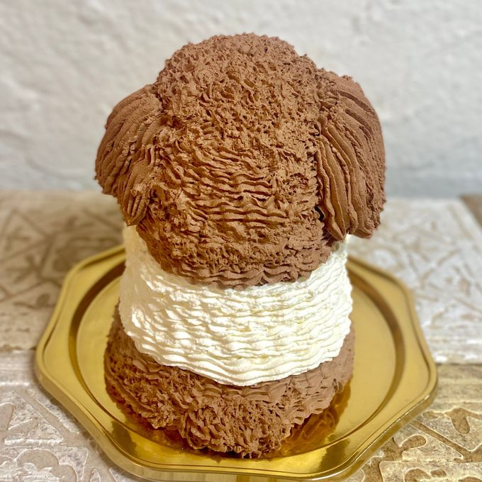 バレンタイン♡トイプードルの立体ケーキ 犬 ガナッシュクリーム 誕生日 センイルケーキ 動物ケーキ ドンムルケーキ 3
