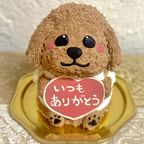 トイプードルの立体ケーキ 犬 ガナッシュクリーム 誕生日 センイルケーキ 動物ケーキ ドンムルケーキ   1