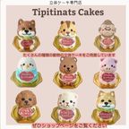 くまさんサンタの立体ケーキ クリスマスケーキ 5号 個数限定 動物ケーキ クリスマス2025 6