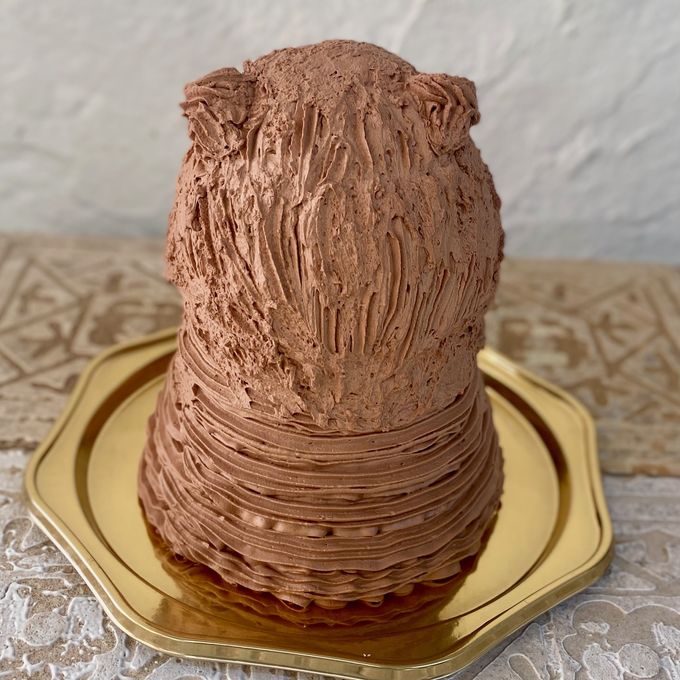 カピバラの立体ケーキ 動物 ケーキ 誕生日 チョコ センイルケーキ 5号 3