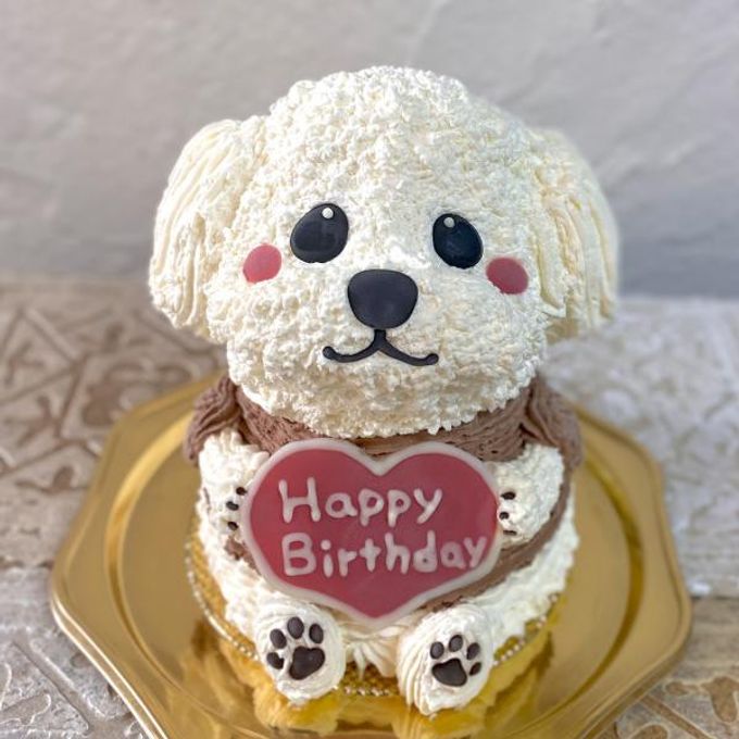 白いトイプードルの立体ケーキ 犬 誕生日 センイルケーキ 動物ケーキ ドンムルケーキ   1