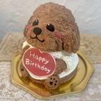 トイプードルの立体ケーキ 犬 ガナッシュクリーム 誕生日 センイルケーキ 動物ケーキ ドンムルケーキ   2