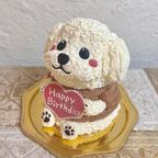 白いトイプードルの立体ケーキ 犬 誕生日 センイルケーキ 動物ケーキ ドンムルケーキ   2