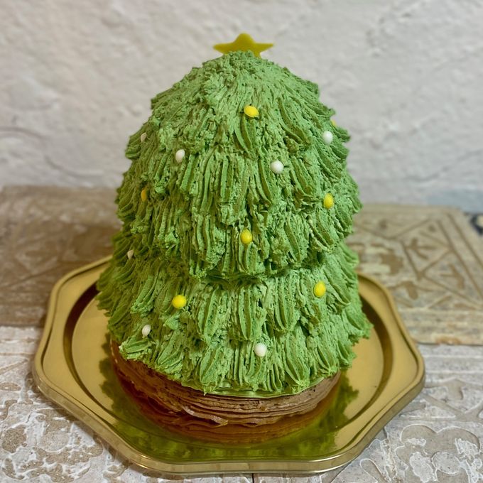 クリスマスツリーの着ぐるみ立体ケーキ クリスマス ケーキ 5号 かわいい かぶりもの  クリスマス2025 3