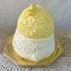 オカメインコの立体ケーキ 5号 お誕生日やお祝いに 動物ケーキ 誕生日ケーキ 3