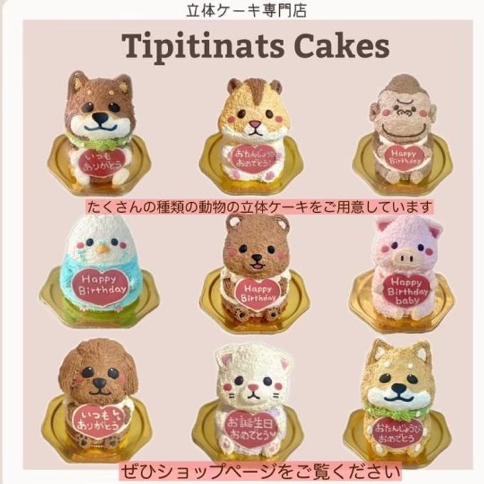 ハロウィンクマさんの立体ケーキ  クマ  くまさん  動物ケーキ 5号 ハロウィン2026 8