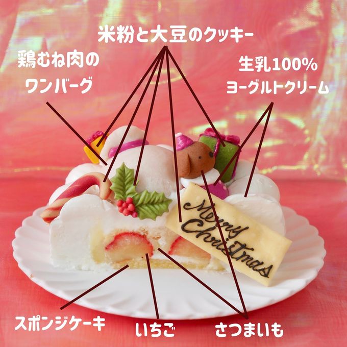 中大型犬用【クリスマス ショート レギュラー】 クリスマス2026 4