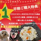 犬猫用【お肉たっぷりクリスマスバーレル】 クリスマス2026 2