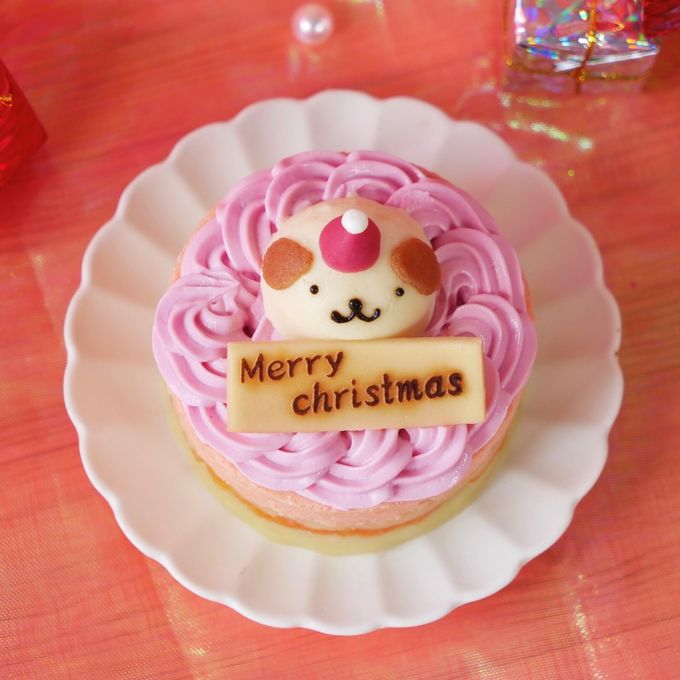 犬猫用【お魚のクリスマスケーキ】 クリスマス2026 4