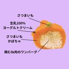 犬用【パンプキンドッグ】ハロウィン2025 4